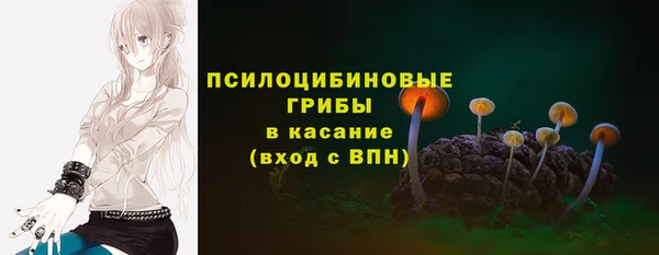 дмт Верея