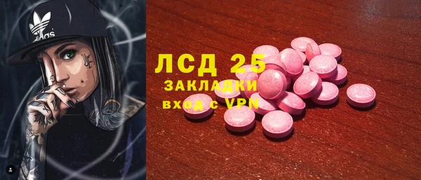 PSILOCYBIN Бородино